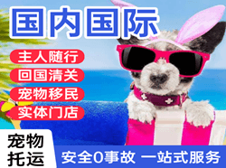上海浦东空运国际宠物托运 【国